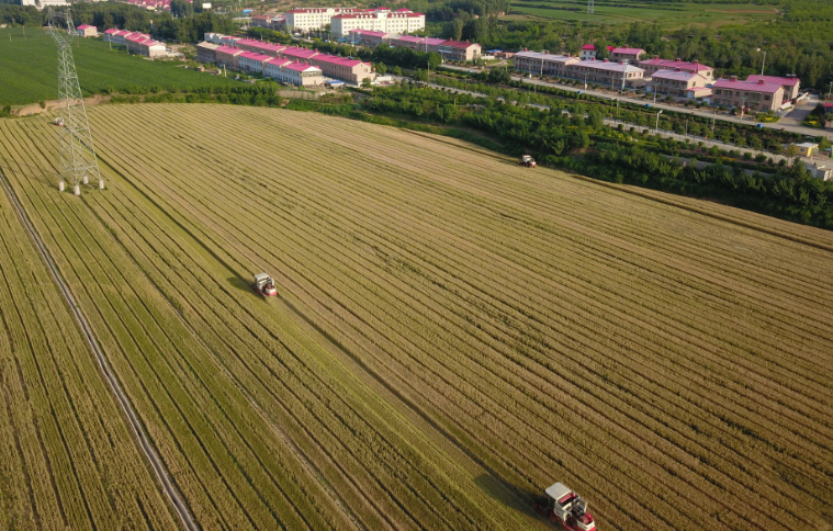 遼寧省朝陽(yáng)市建平縣小平房村